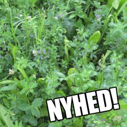 Skovdyrkernes Bio-Eng, 1 kg