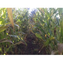 Restlager - Jgermajs, 5 kg