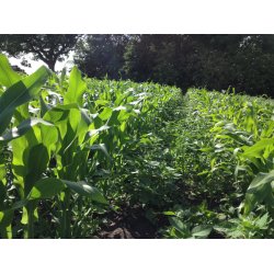 Restlager - Jgermajs, 5 kg