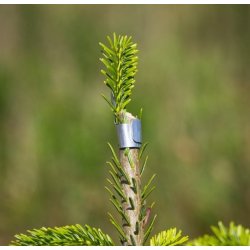 Knoprettere - 100 stk.