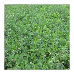 Skovdyrkernes Engblanding, 5 kg